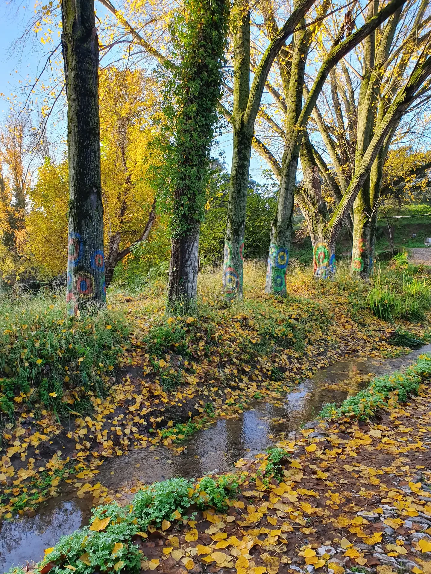 Árboles pintados junto a un riachuelo