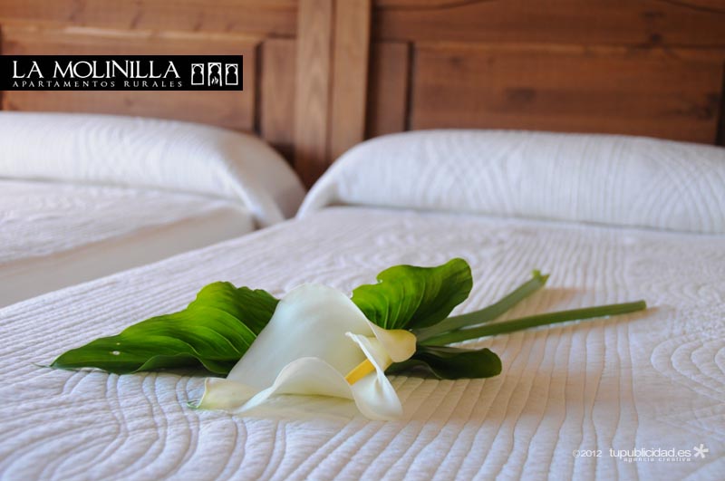 Habitación de La Molinilla